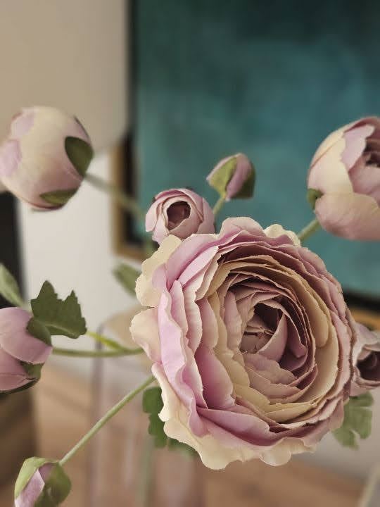 PEŁNIK RANUNCULUS PĘCZEK 50CM POWDER LT VIOLET