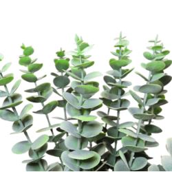 EUKALIPTUS GAŁĄZKA PIK 48CM MCH001 POWDER GREEN