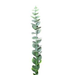 EUKALIPTUS GAŁĄZKA PIK 48CM MCH001 POWDER GREEN