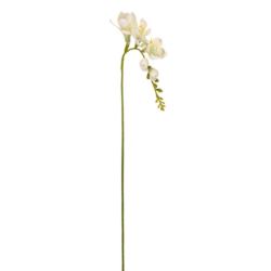 FREZJA POJEDYNCZA 55CM AJ01907 WHITE