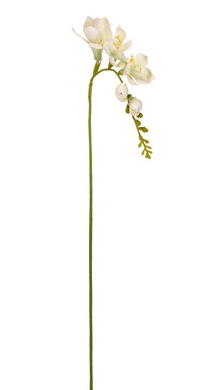 FREZJA POJEDYNCZA 55CM AJ01907 WHITE