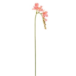 FREZJA POJEDYNCZA 55CM AJ01907 CORAL
