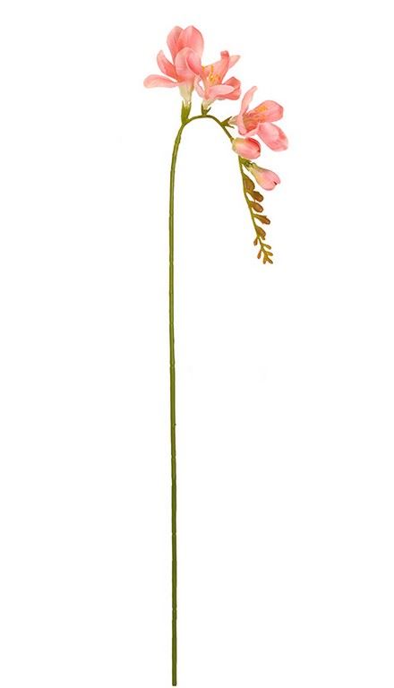 FREZJA POJEDYNCZA 55CM AJ01907 CORAL