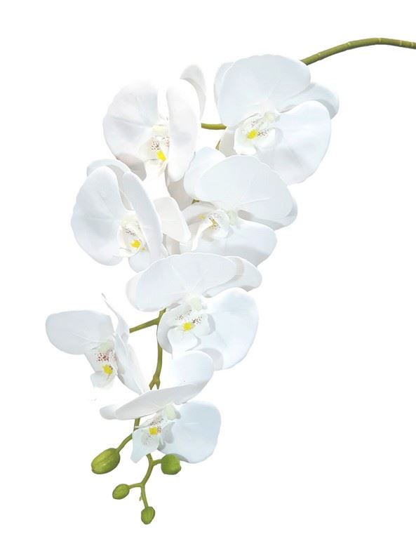 STORCZYK SOFT TOUCH 106CM ZB019 9 PURE WHITE