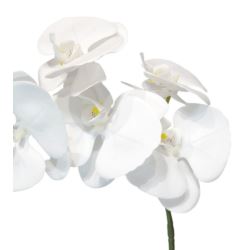 STORCZYK SOFT TOUCH 106CM ZB019 9 PURE WHITE