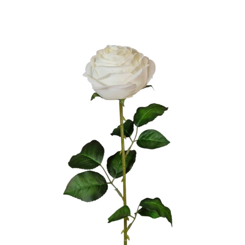 RÓŻA PEONIOWA POJ. 9CM KAR564 NEW CREAM