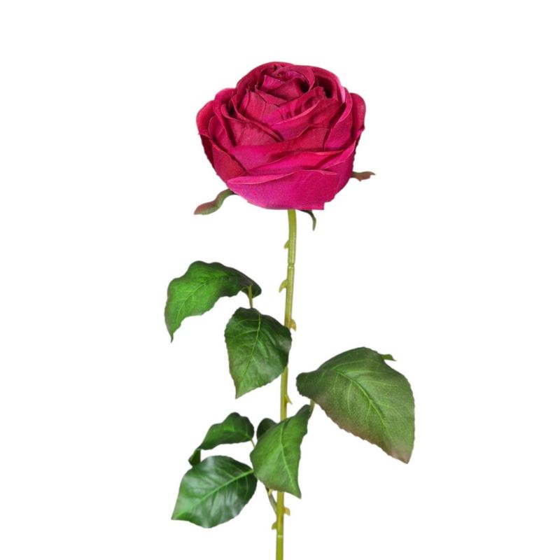 RÓŻA PEONIOWA POJ. 9CM KAR564 BEAUTY