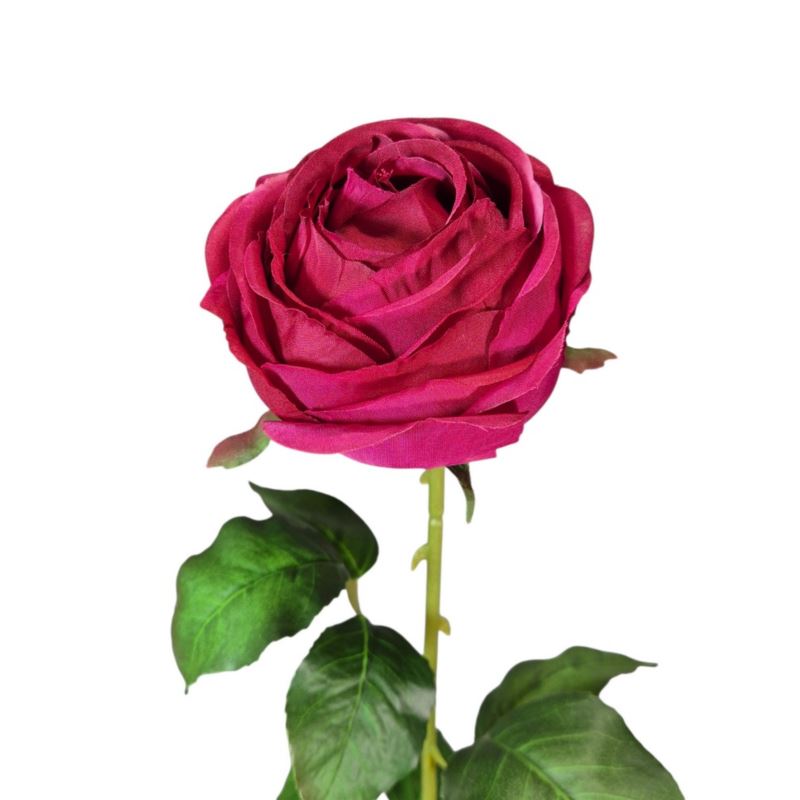 RÓŻA PEONIOWA POJ. 9CM KAR564 BEAUTY