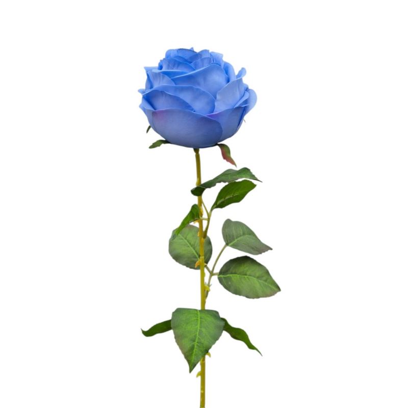 RÓŻA PEONIOWA POJ. 9CM KAR564 POWDER BLUE