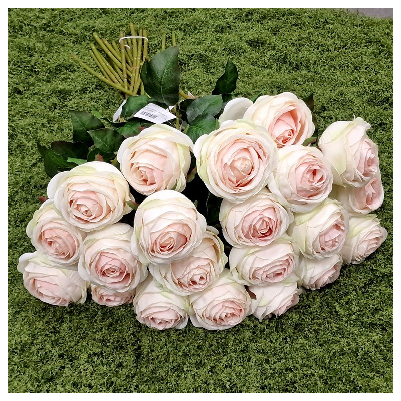 RÓŻA PEONIOWA POJ. 9CM KAR564 PEACH LT.GREEN