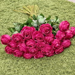 RÓŻA PEONIOWA POJ. 9CM KAR564 BEAUTY