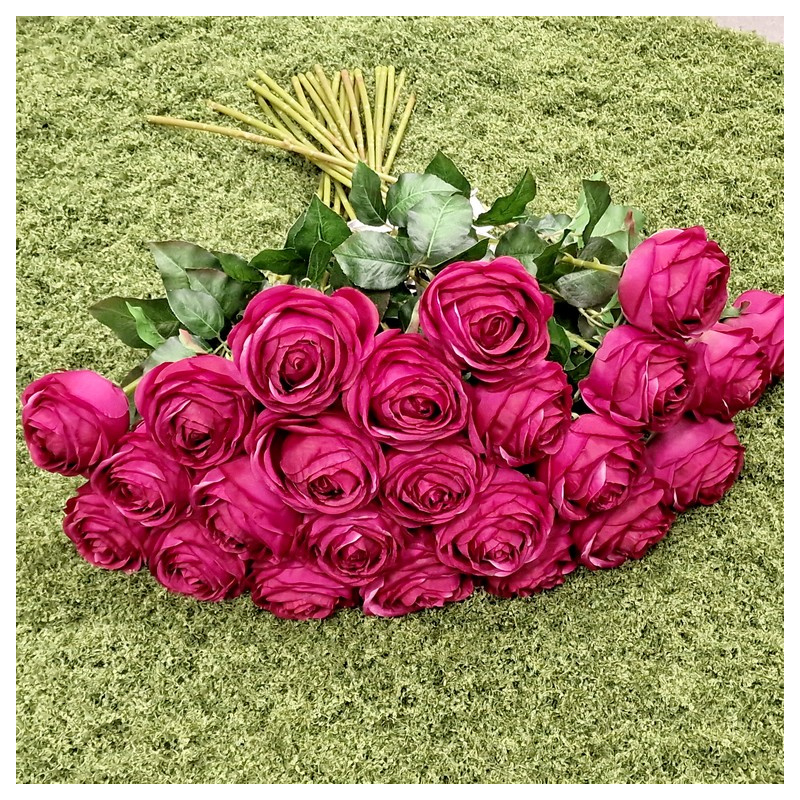 RÓŻA PEONIOWA POJ. 9CM KAR564 BEAUTY