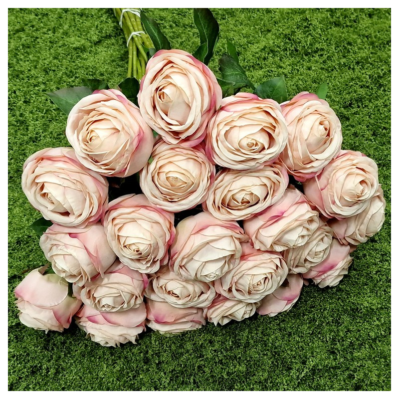 RÓŻA PEONIOWA POJ. 9CM KAR564 POWDER PINK EDGE BEA