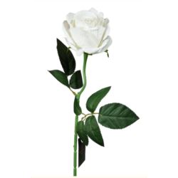 RÓŻA POJEDYNCZA WELUR 50CM WHITE