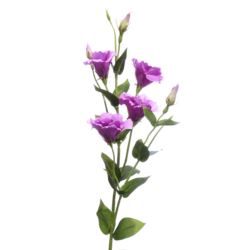 Eustoma gałązka 83cm sun345 PINK EDGE LT. PINK