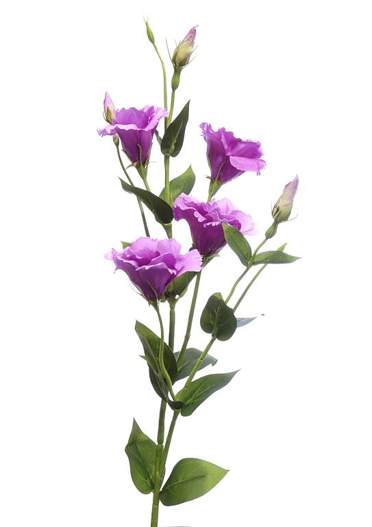 Eustoma gałązka 83cm sun345 PINK EDGE LT. PINK