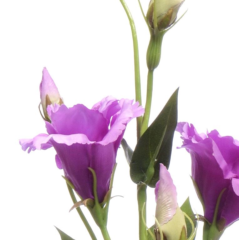 Eustoma gałązka 83cm sun345 PINK EDGE LT. PINK