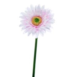 GERBERA POJ 47cm  SUN529 PEARL PINK