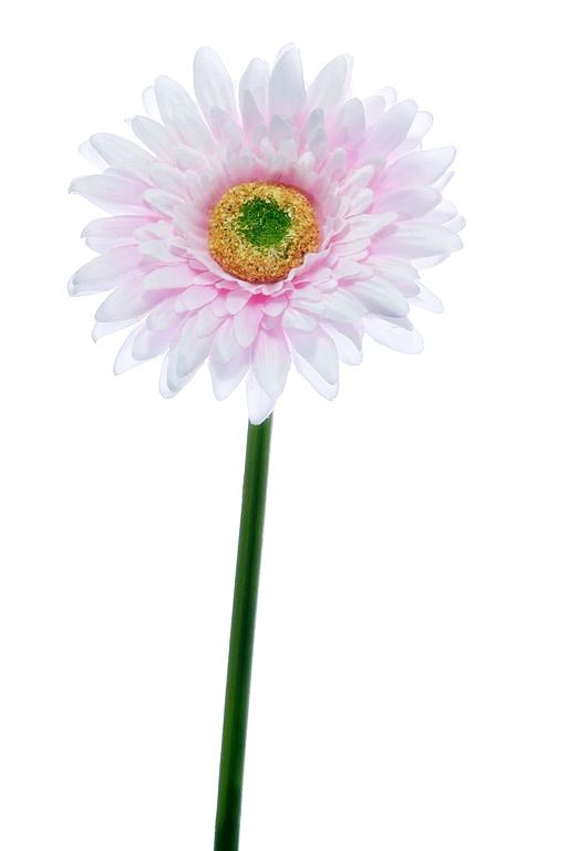 GERBERA POJ 47cm  SUN529 PEARL PINK
