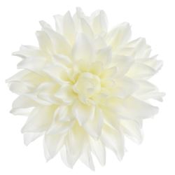 DALIA GŁOWA 18CM ART285 WHITE GREEN