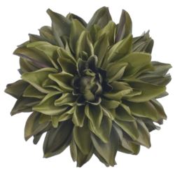 DALIA GŁOWA 18CM ART285 OLIVE