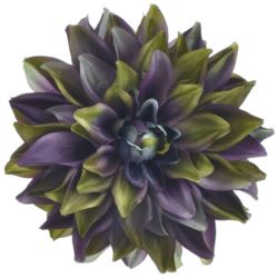 DALIA GŁOWA 18CM ART285 EGGPLANT GREEN