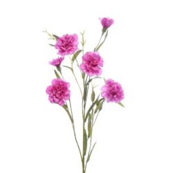 GOŹDZIK GAŁĄZKA 75CM SUN641 SWEET PINK EDGE PINK