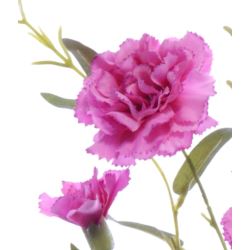 GOŹDZIK GAŁĄZKA 75CM SUN641 SWEET PINK EDGE PINK
