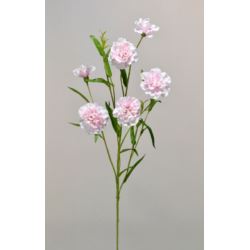 GOŹDZIK GAŁĄZKA 75CM SUN641 POWDER PINK
