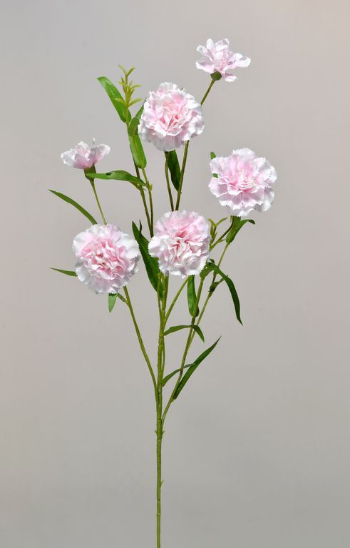 GOŹDZIK GAŁĄZKA 75CM SUN641 POWDER PINK