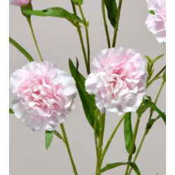 GOŹDZIK GAŁĄZKA 75CM SUN641 POWDER PINK