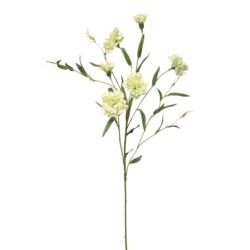 GOŹDZIK GAŁAZKA 75CM SUN641 POWDER GREEN