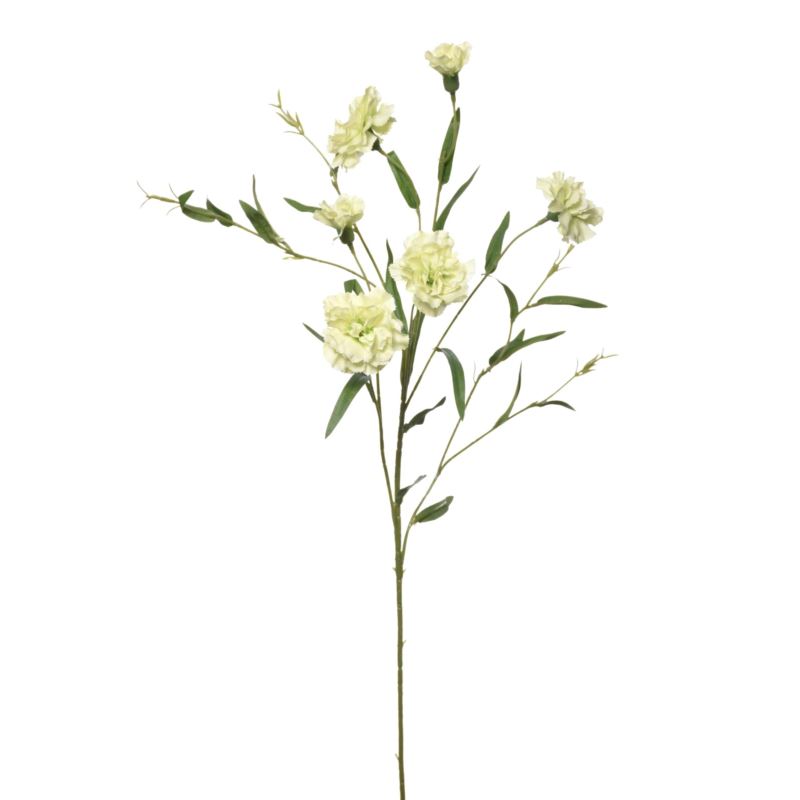 GOŹDZIK GAŁAZKA 75CM SUN641 POWDER GREEN