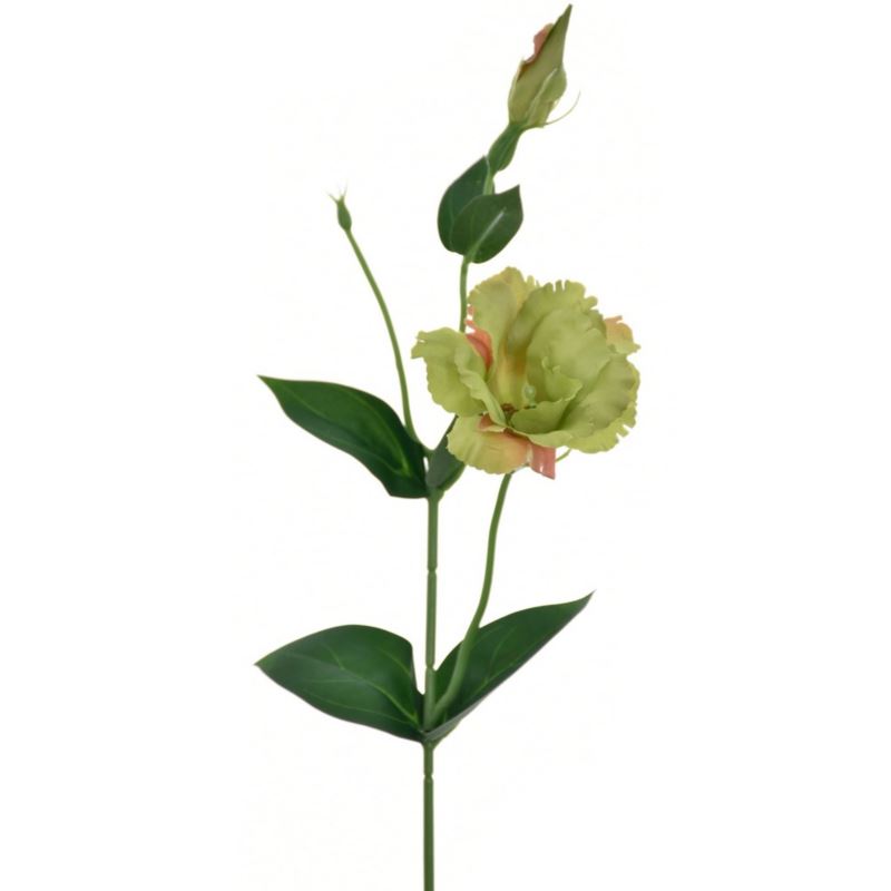 EUSTOMA NA PIKU 47CM SUN357 DEEP GREEN