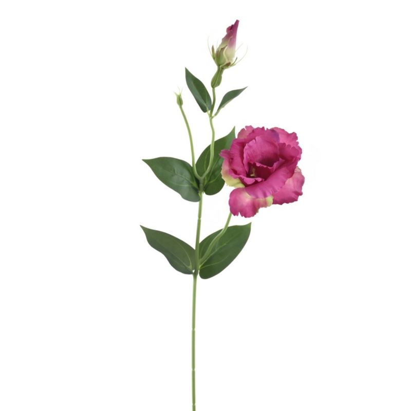 EUSTOMA NA PIKU 47CM SUN357 FUCHSIA GREEN
