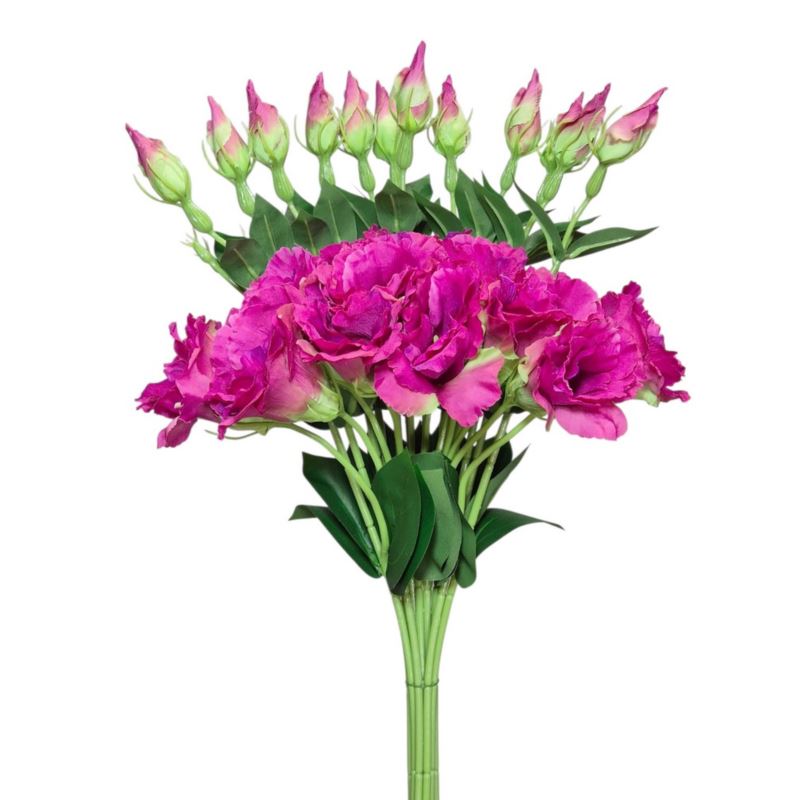 EUSTOMA NA PIKU 47CM SUN357 FUCHSIA GREEN