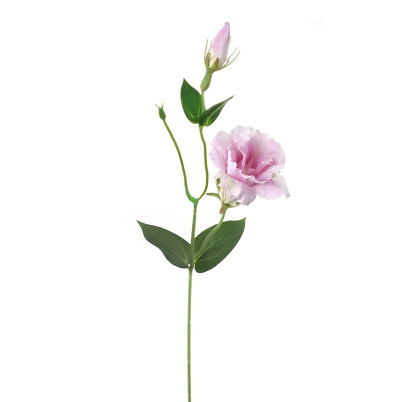EUSTOMA NA PIKU 47CM SUN357 CANDY PINK