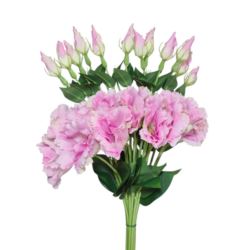 EUSTOMA NA PIKU 47CM SUN357 CANDY PINK