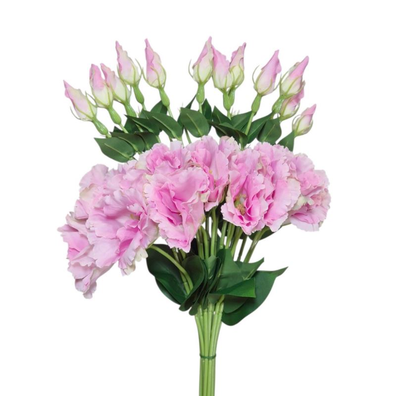 EUSTOMA NA PIKU 47CM SUN357 CANDY PINK