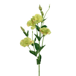 EUSTOMA GAŁĄZKA 83CM SUN345 DEEP GREEN