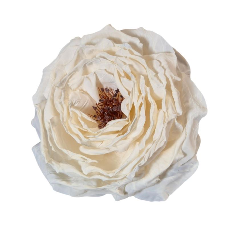 PEONIA WYROBOWA 11CM AUTUMN CREAM WHITE