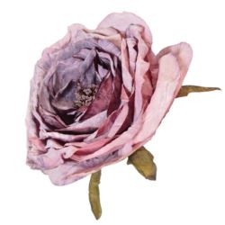 PEONIA WYROBOWA 11CM AUTUMN LT MAUVE