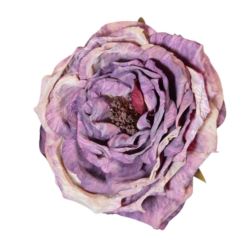 PEONIA WYROBOWA 11CM AUTUMN PURPLE
