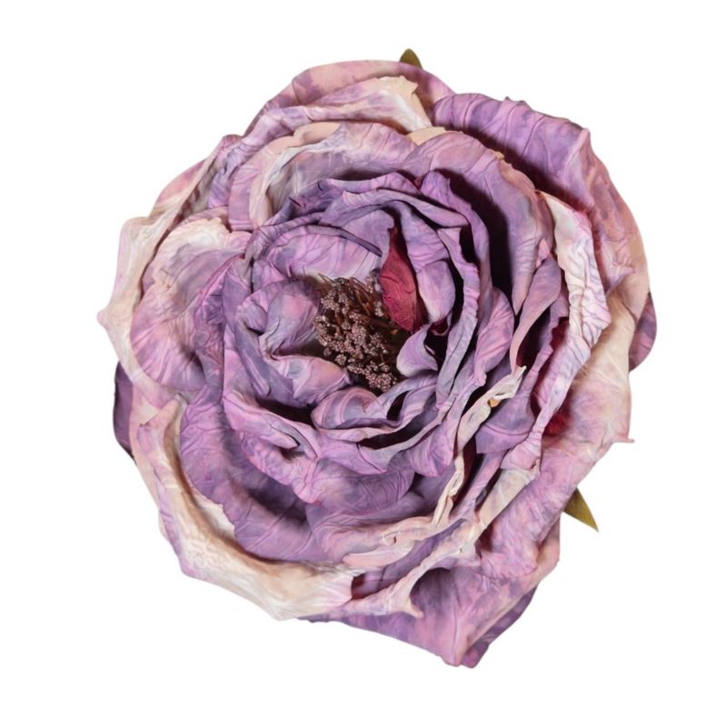 PEONIA WYROBOWA 11CM AUTUMN PURPLE
