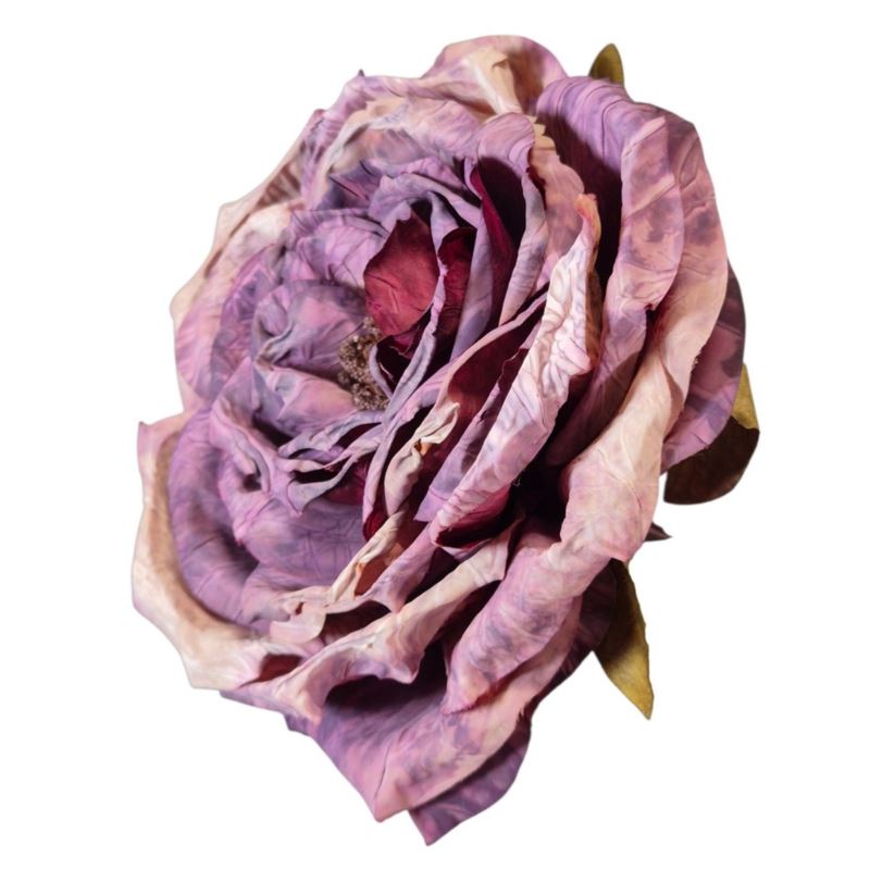 PEONIA WYROBOWA 11CM AUTUMN PURPLE