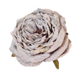 PEONIA WYROBOWA 11CM AUTUMN LT PINK