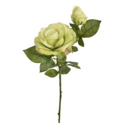 RÓŻA Z PĄKIEM 64CM REN2010 NATURAL TOUCH GREEN