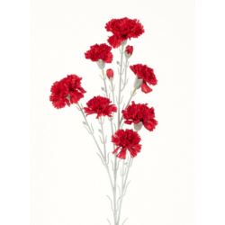 GOŻDZIK GAŁĄZKA 7 KWIATÓW 72CM RED