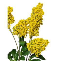 BEZ DODATEK GAŁĄZKA 74CM VIP2308 YELLOW