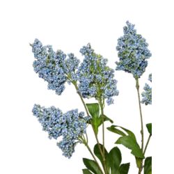 BEZ DODATEK GAŁĄZKA 74CM VIP2308 BLUE